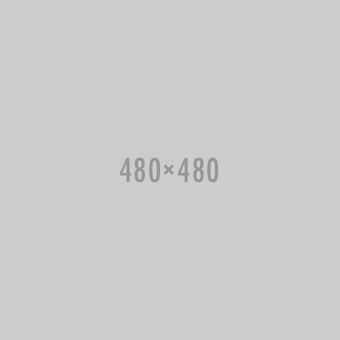 DAYAN-20